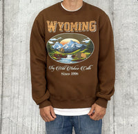 FELPA GIROCOLLO GC WYOMING - BERNA -  ART. 246247186 - COL. CIOCCOLATO